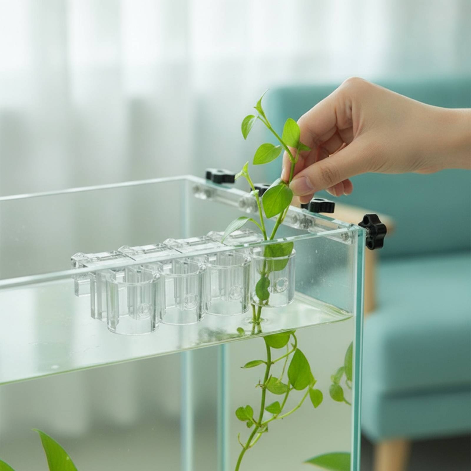 Aquarium Plants - 6개 수족관 플랜터 투명 수경 재배