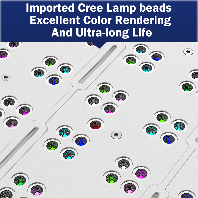 Aquarium Light - 핫 KASSRAY T169/T215 CREE LED 풀