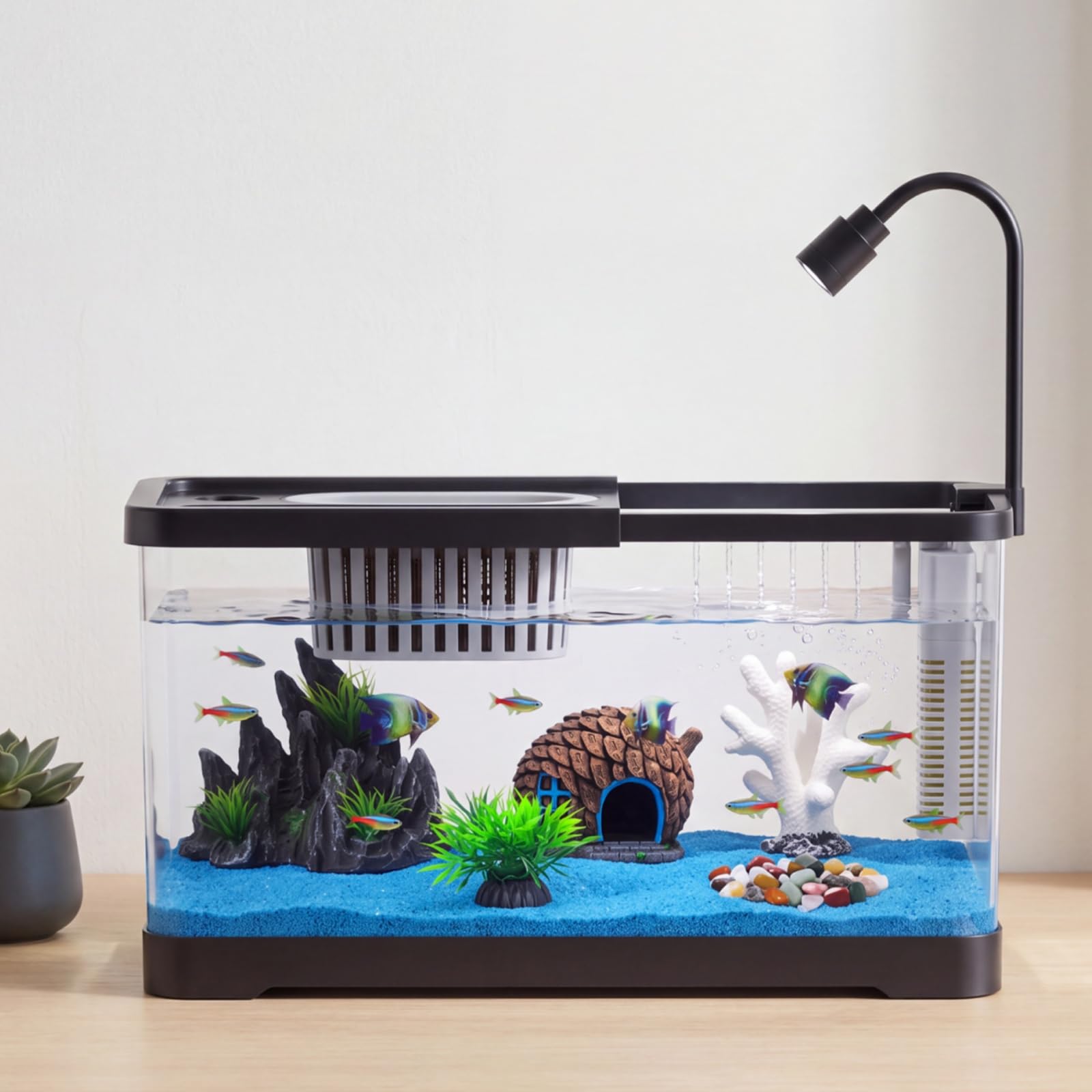 Betta Fish Tank - 어항 스타터 키트(필터 및 조명 포함)