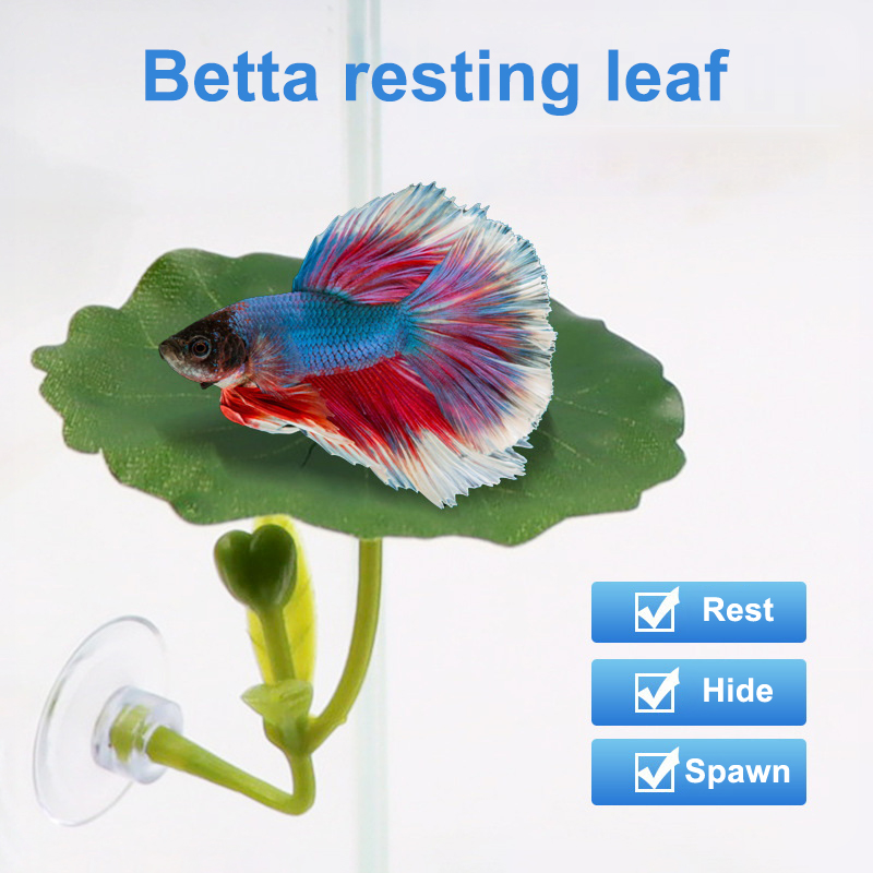Aquarium Fish Betta - (Ce14) 1/5개입, 녹색 잎 모양의 해먹