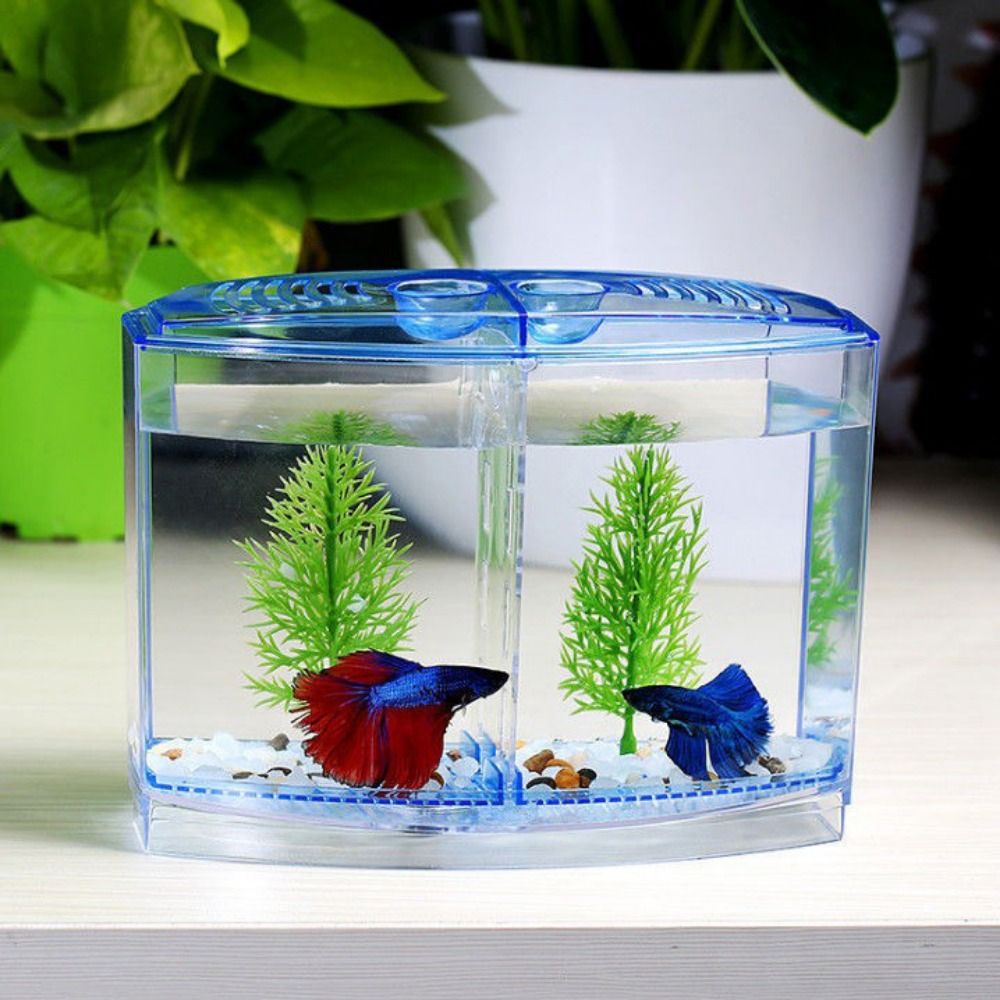 Aquarium Fish Betta - Betta 투명 어항, 이중 격자 마름모