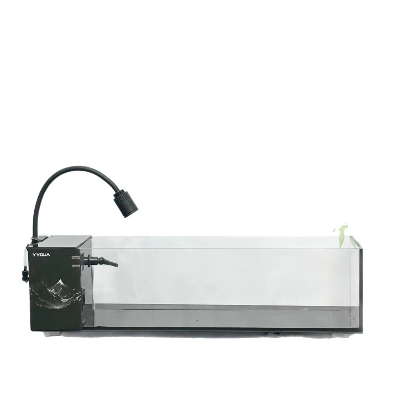 Aquarium Fish Keeping - 프리미엄 가정용 유리 수족관, 생태 순환