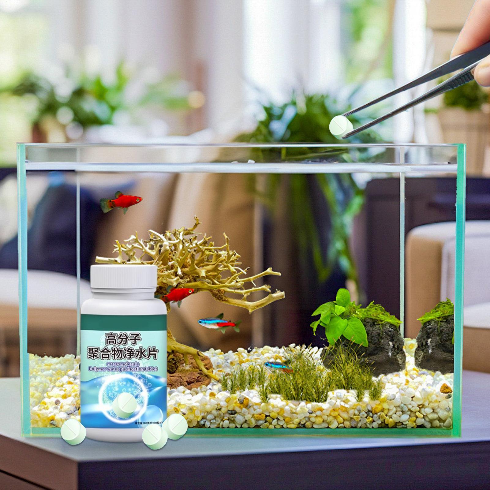 어항 물 정화제 알개 제거제 타블렛, 분수, 베타, 새 - Fish Aquarium Home 리뷰 및 가격