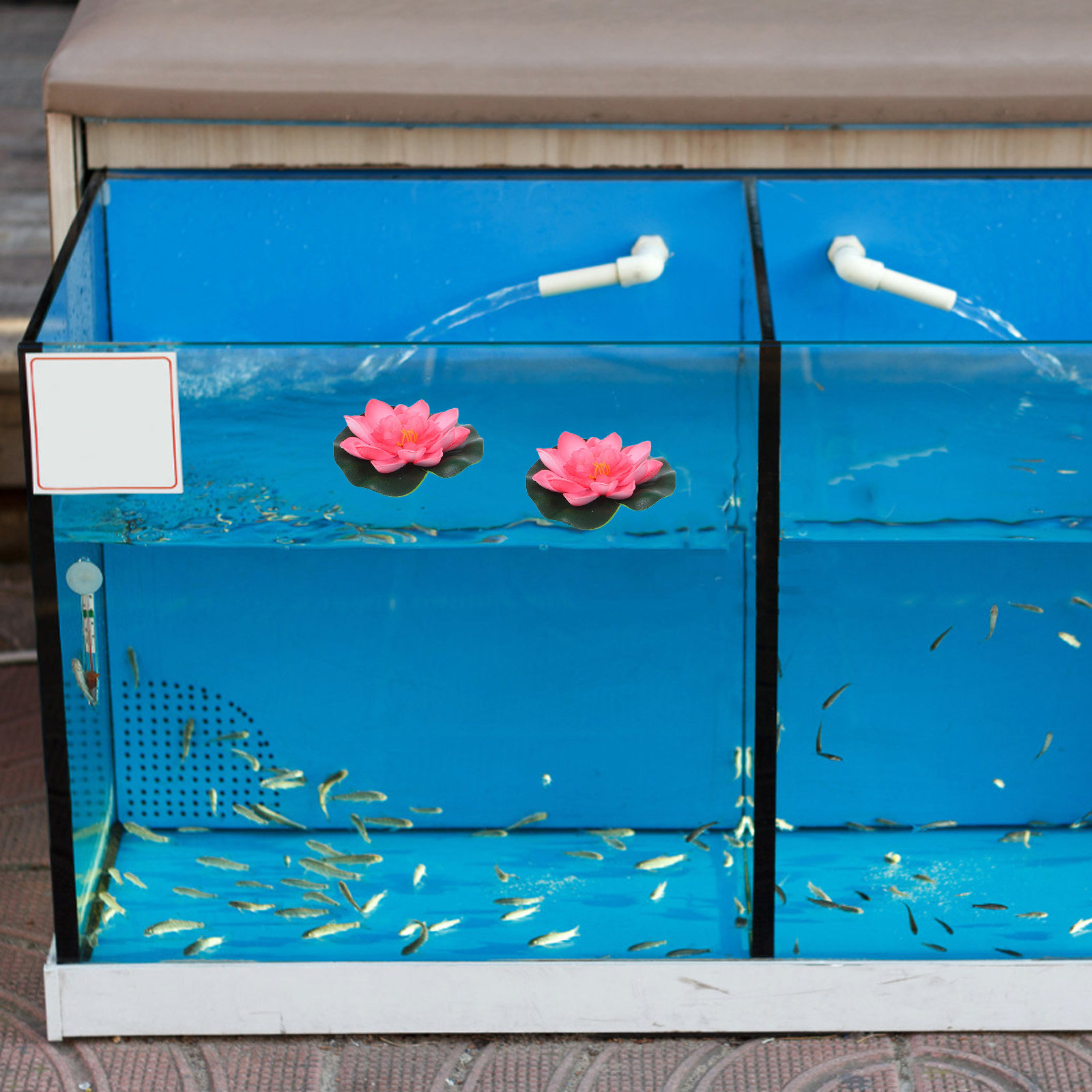 연못, 수영장, 분수, 수족관, 정원 장식용으로 사용할 - Aquarium Decor 리뷰 및 가격