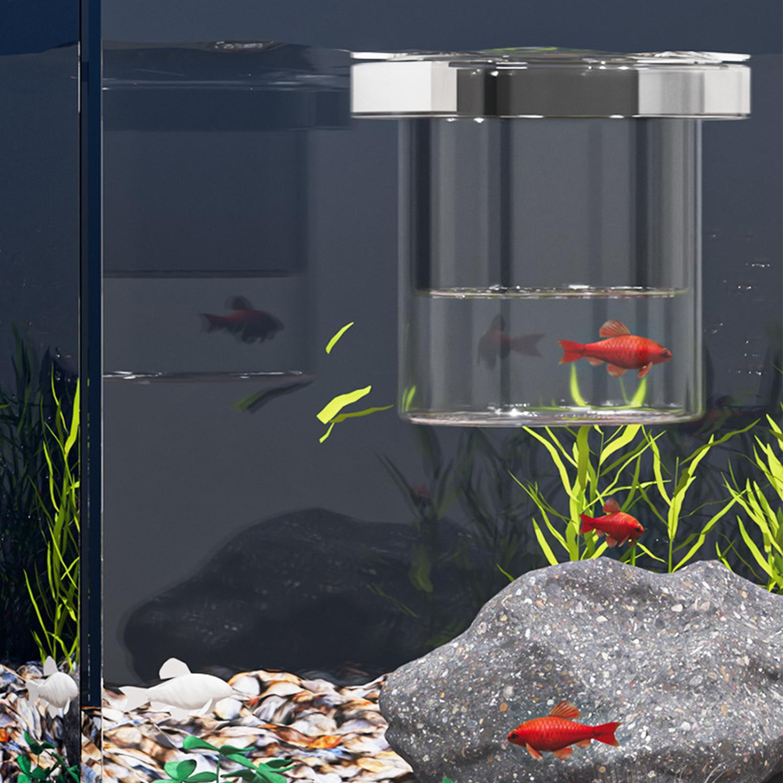 어류 번식 상자, 부유식 수족관 번식 상자, 어린 물고 - Aquarium Fish Betta 리뷰 및 가격