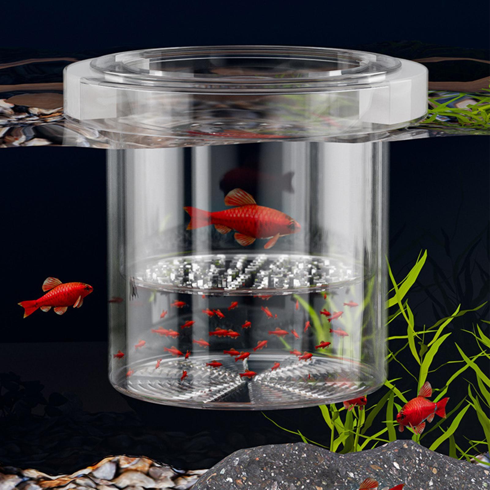내구성 있는 어류 사육 상자, 어항 격리 상자, 육추용 - Betta Fish Tank 리뷰 및 가격