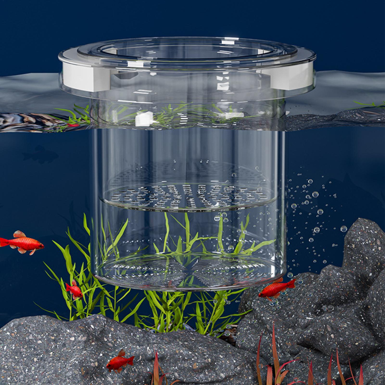 수족관용 부유식 어류 번식 격리 상자, 플라스틱 어항  - Aquarium Fish Betta 리뷰 및 가격