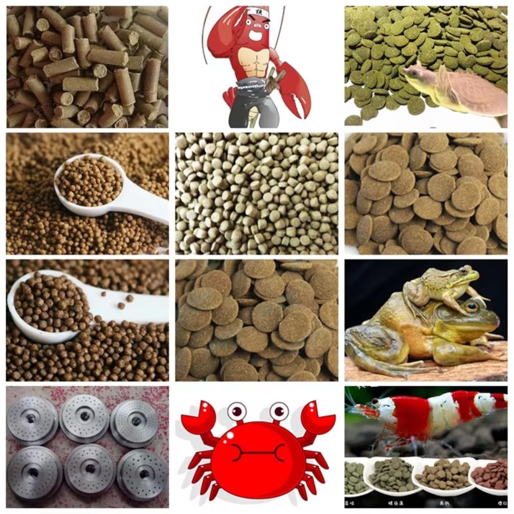 부유성 어류 사료 제조기 펠렛 압출기 기계, 부유성 사 - Fish Food 리뷰 및 가격