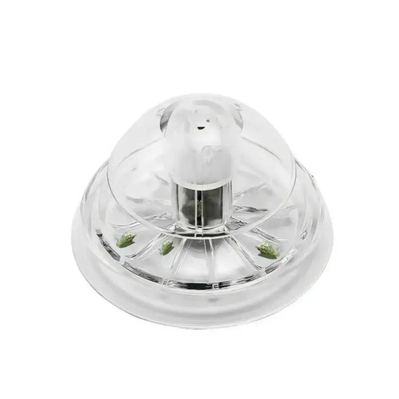 2026년형 새로운 6/8CM 투명 플라스틱 달팽이 트 - Fish Aquarium Home 리뷰 및 가격