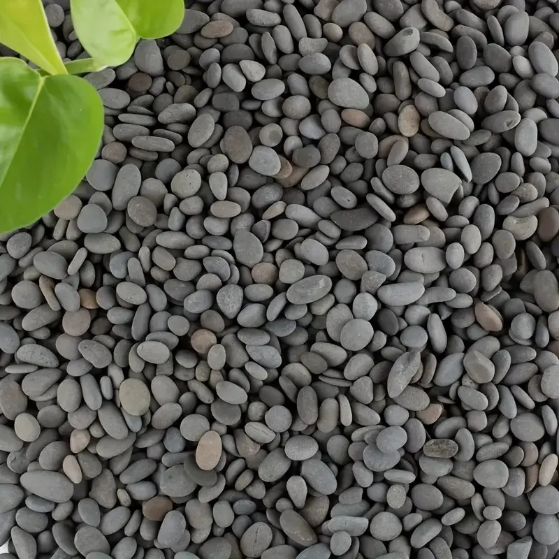 20Pcs 자연 강 바위 회색-검은 색 톤의 부드러운  - Fish Tank Gravel 리뷰 및 가격