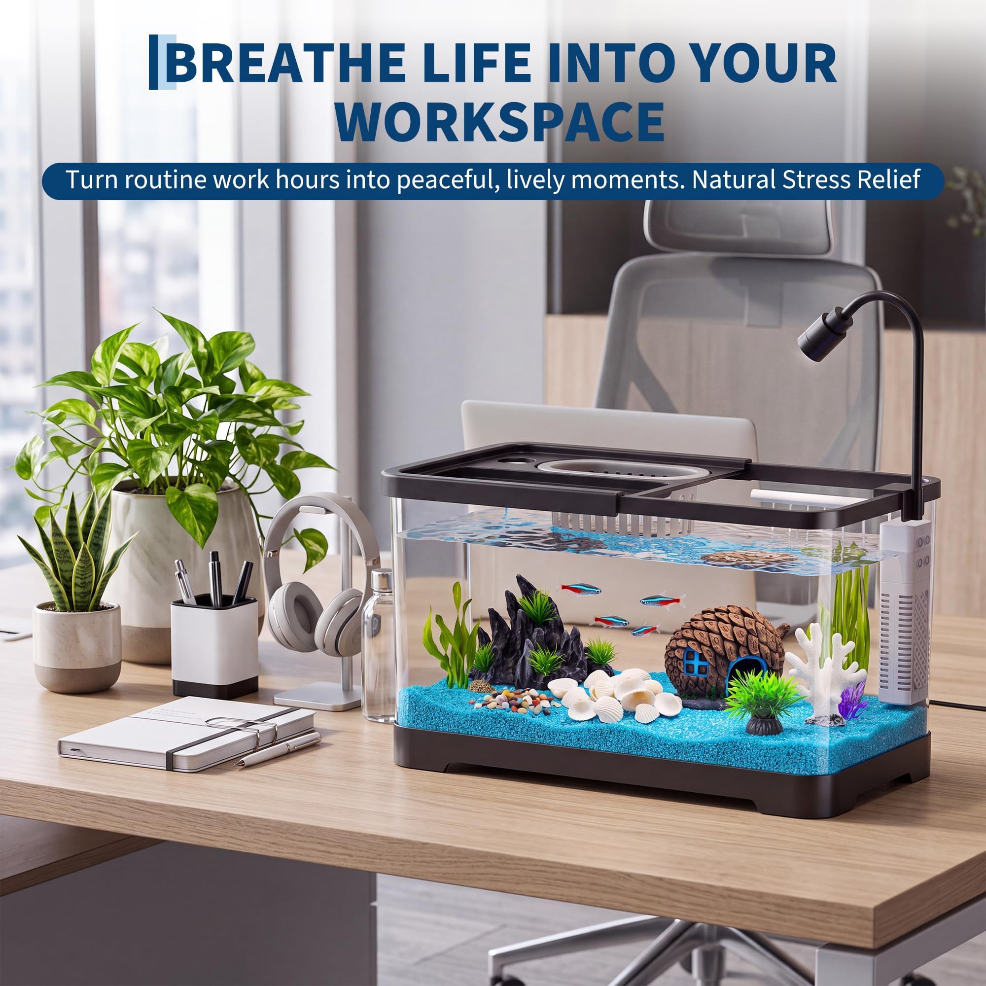 어항 스타터 키트(필터 및 조명 포함) - 금붕어, 새 - Betta Fish Tank 리뷰 및 가격
