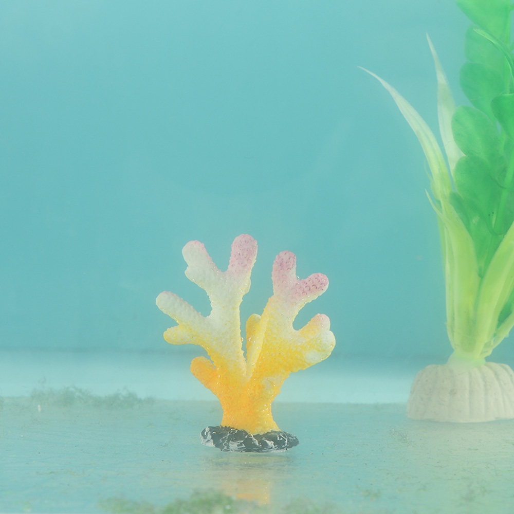 인공 산호 어항 장식, 시뮬레이션 불가사리 수지 암초  - Fish Tank Gravel 리뷰 및 가격