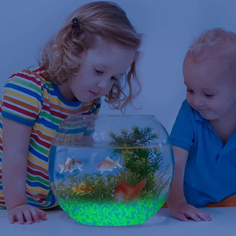 1000pcs 어두운 자갈 돌에 3-5mm 빛나는 모래 - Fish Aquarium Home 리뷰 및 가격