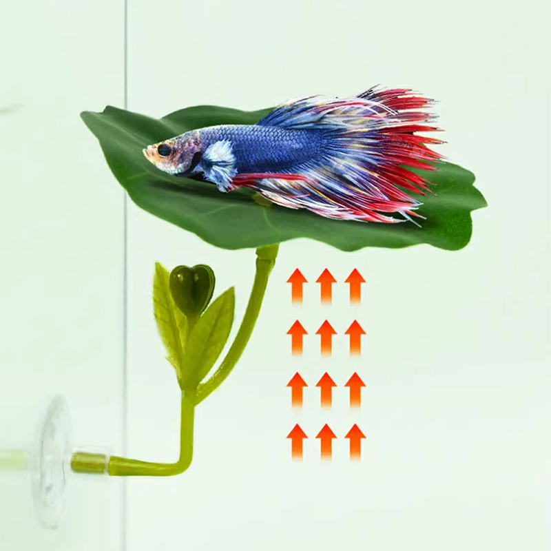 (Ce14) 1/5개입, 녹색 잎 모양의 해먹 장식.  - Aquarium Fish Betta 리뷰 및 가격