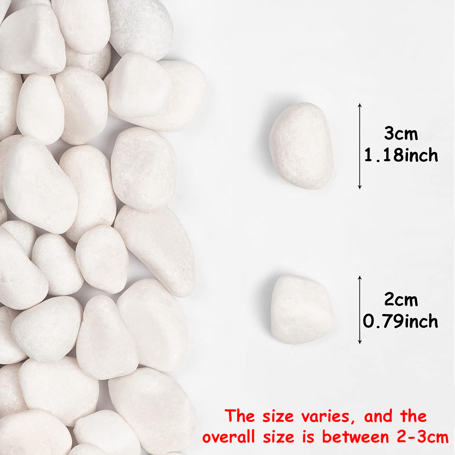 200/400g 흰색 고광택 천연 자갈 2-3cm 마당 - Fish Aquarium Home 리뷰 및 가격