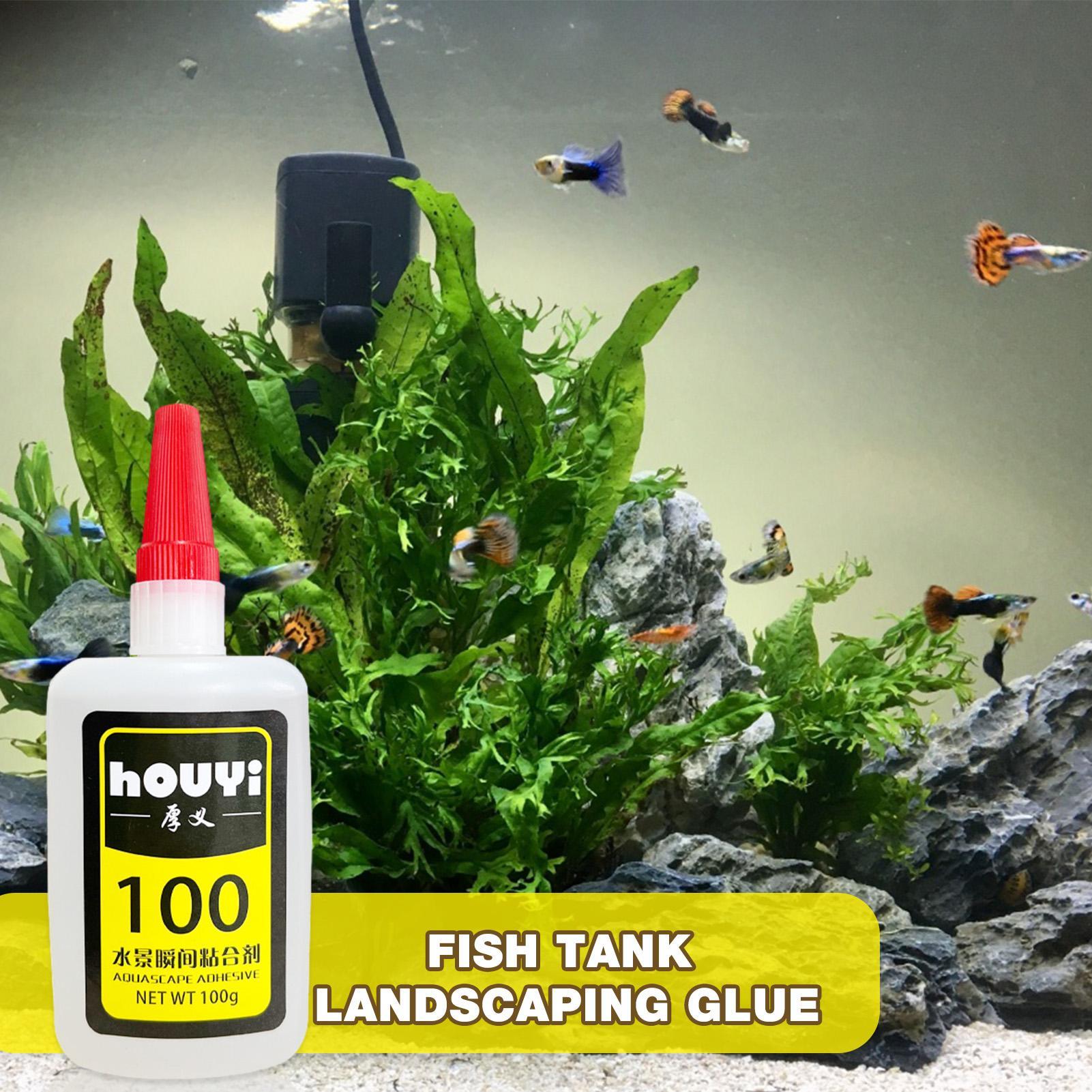 50/100g 투명 순간접착제 아쿠아스케이핑 방수 수족 - Aquarium Plants 리뷰 및 가격