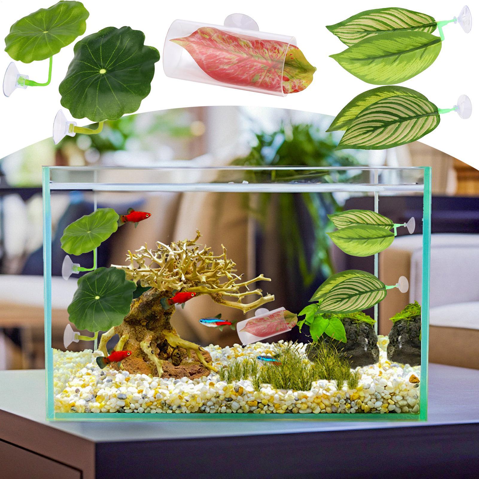 베타 물고기 해먹 5개 조절 가능한 베타 잎 해먹 물고 - Aquarium Fish Betta 리뷰 및 가격