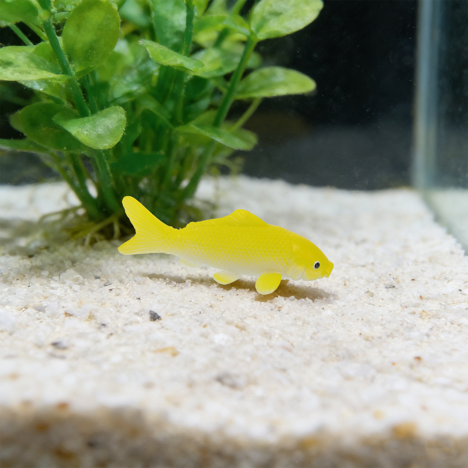 3pcs 물고기 공예 장난감 현실적인 플라스틱 물고기  - Fish Aquarium Home 리뷰 및 가격