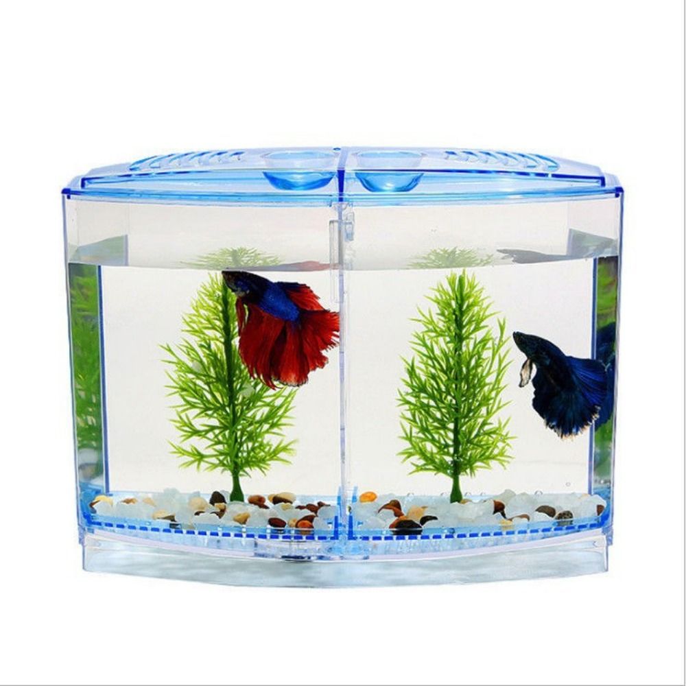 Betta 투명 어항, 이중 격자 마름모 구피 수족관, - Aquarium Fish Betta 리뷰 및 가격