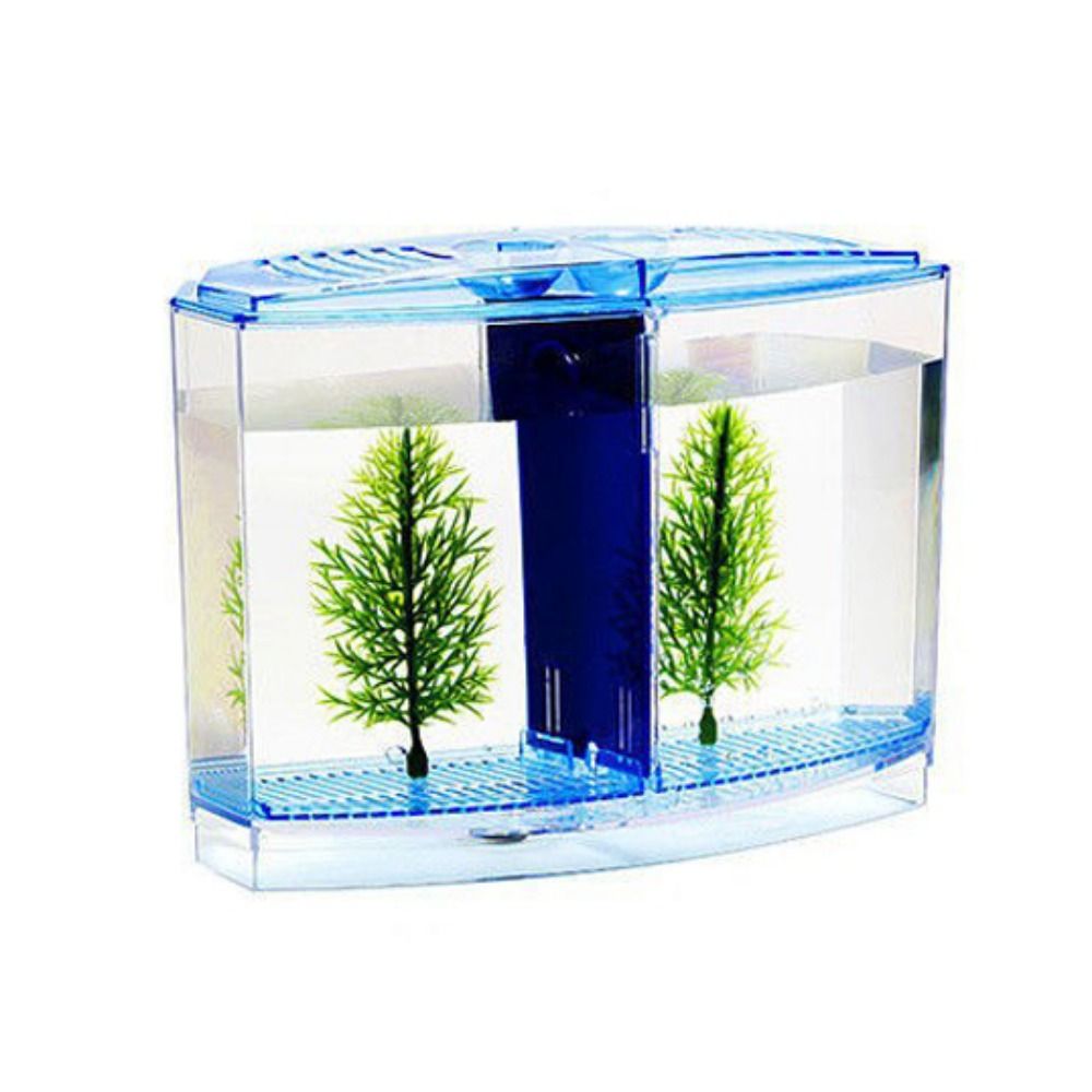 Betta 투명 어항, 이중 격자 마름모 구피 수족관, - Aquarium Fish Betta 리뷰 및 가격