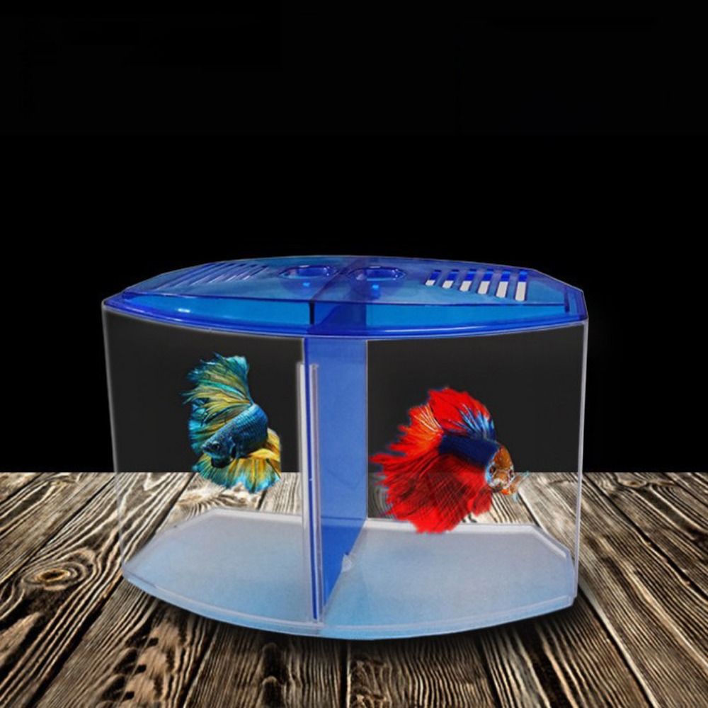 Betta 투명 어항, 이중 격자 마름모 구피 수족관, - Aquarium Fish Betta 리뷰 및 가격