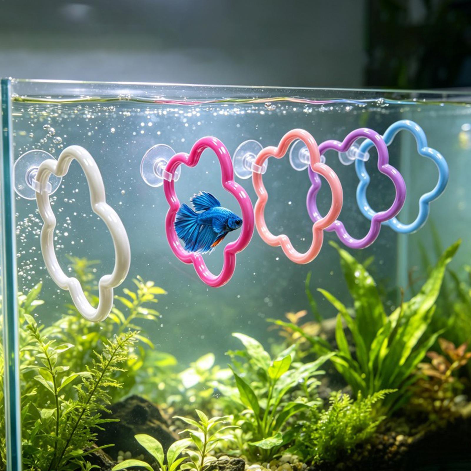 베타 물고기 장난감 5개 다채로운 흡착 컵 수족관 액세 - Aquarium Fish Betta 리뷰 및 가격