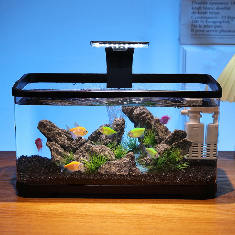 데스크탑 어항 순환 필터 수족관, 무소음 생태 어항,  - Fish Aquarium Home 리뷰 및 가격
