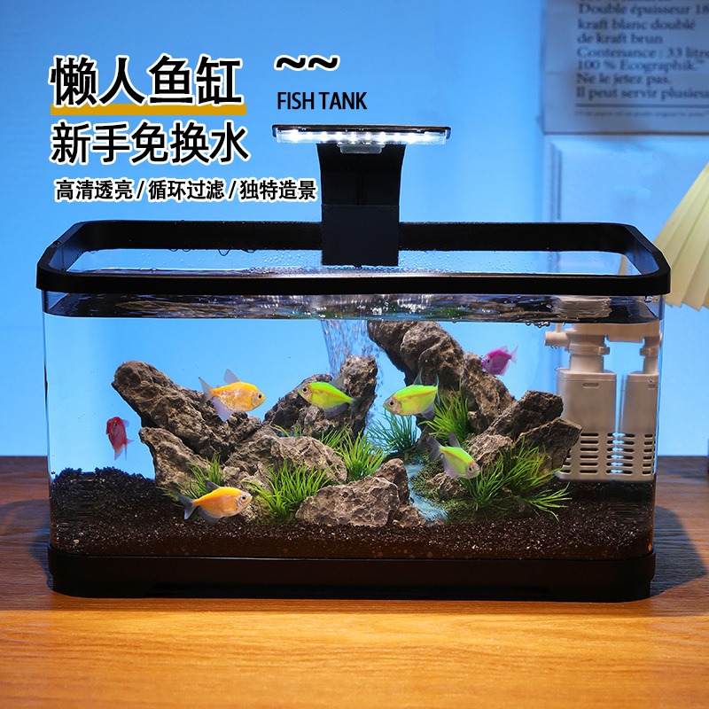 데스크탑 어항 순환 필터 수족관, 무소음 생태 어항,  - Fish Aquarium Home 리뷰 및 가격