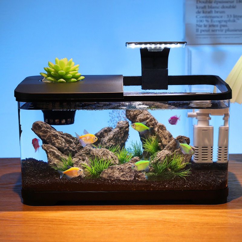 데스크탑 어항 순환 필터 수족관, 무소음 생태 어항,  - Fish Aquarium Home 리뷰 및 가격