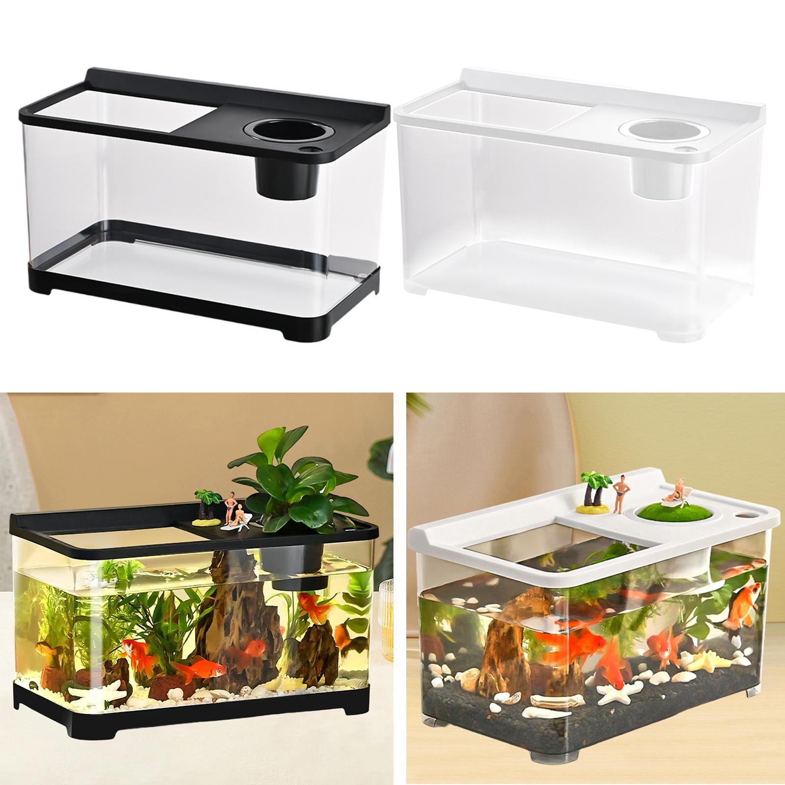 베타 어항 34x21x20cm 적층형 번식 수조 풀 뷰 - Betta Fish Tank 리뷰 및 가격