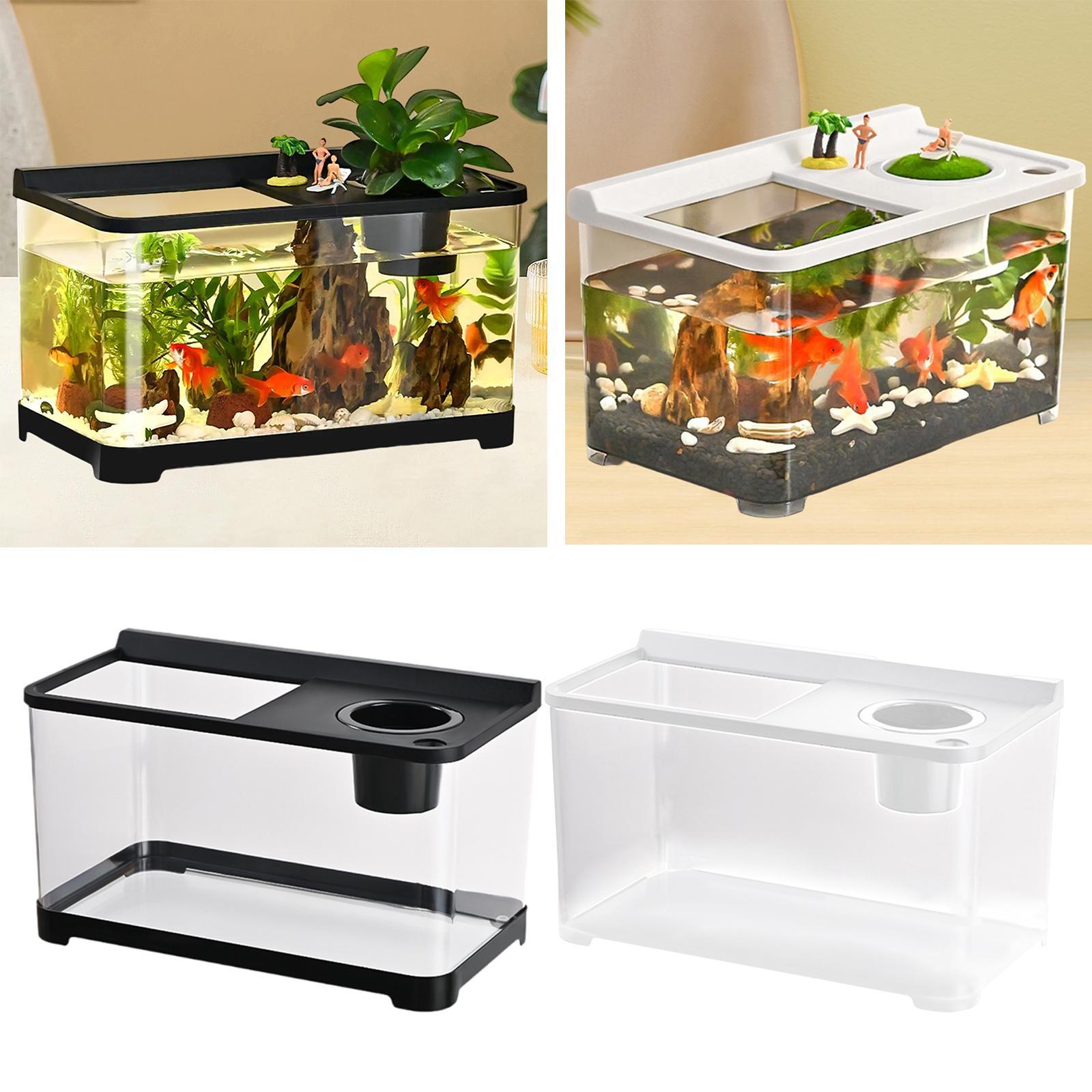 베타 어항 34x21x20cm 적층형 번식 수조 풀 뷰 - Betta Fish Tank 리뷰 및 가격
