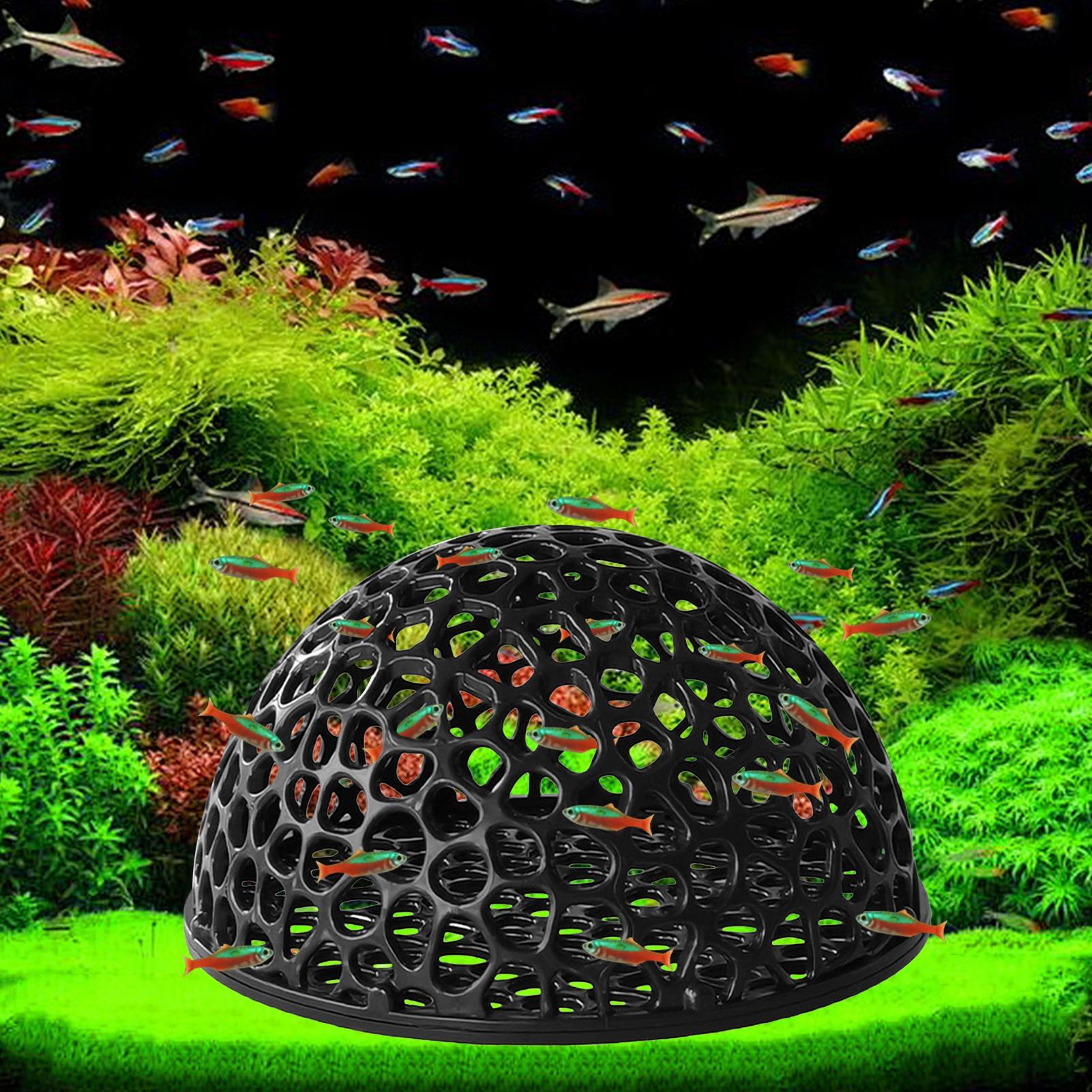 새우 숨숨집 1개, 수족관 장식용, 속이 빈 구조로 제 - Aquarium Fish Betta 리뷰 및 가격