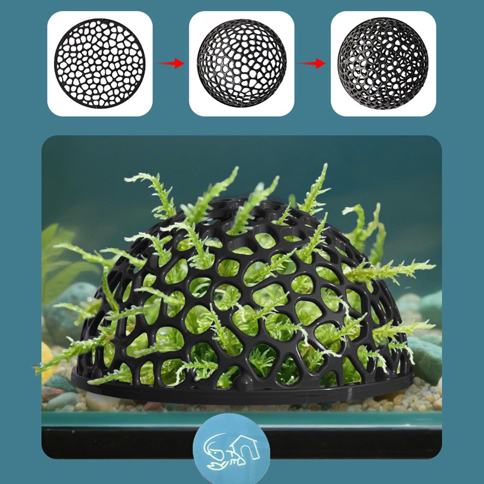 새우 숨숨집 1개, 수족관 장식용, 속이 빈 구조로 제 - Aquarium Fish Betta 리뷰 및 가격