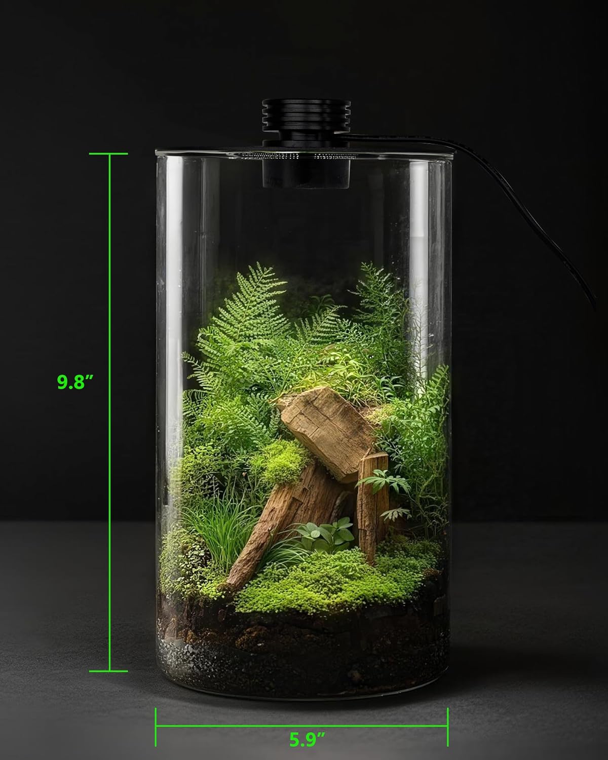 실내 유리 테라리움(조명 포함), 9.8인치 높이 ×  - Betta Fish Tank 리뷰 및 가격