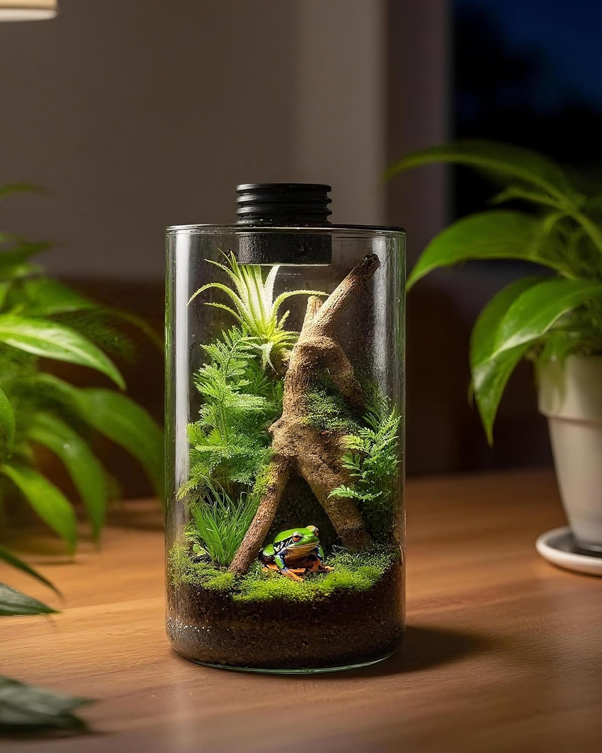실내 유리 테라리움(조명 포함), 9.8인치 높이 ×  - Betta Fish Tank 리뷰 및 가격