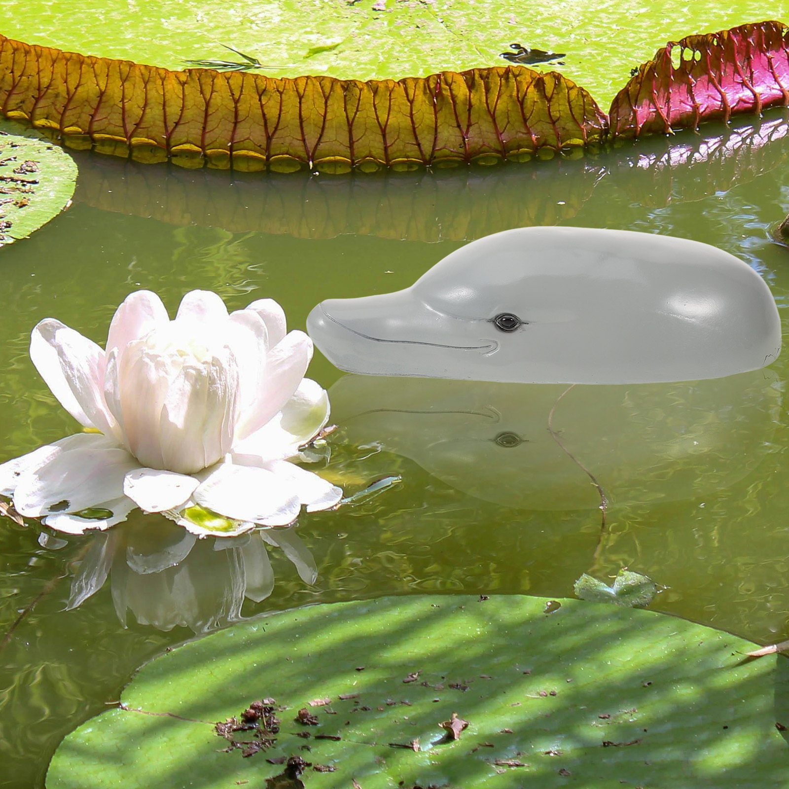 고급 레진 소재의 돌고래 머리 장식품으로, 수족관, 정 - Aquarium Decor 리뷰 및 가격